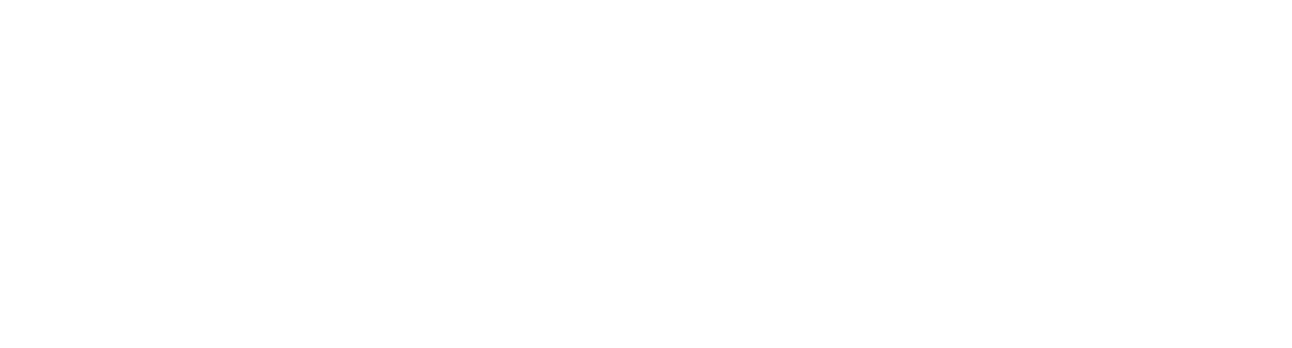 Hair by Ana Christina Logo White